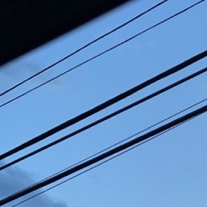 Meet your Posher, Henry